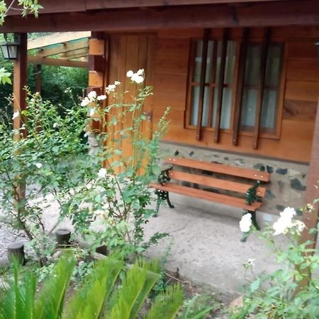 Cabanas Brisas Del Bosque Hotel Villa Ciudad Parque Buitenkant foto